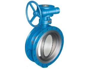 Hard seal butterfly valve