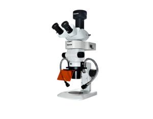 Stereo fluorescence microscope MZX81