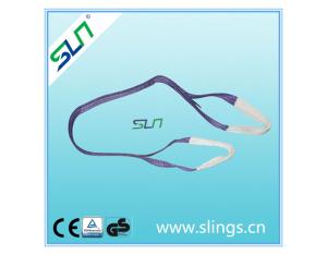 1tx2m Sf 5: 1 100% Polyester Eye Eye Webbing Sling with Ce GS Certificate