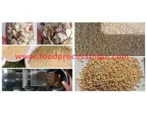 nut processing machinery china