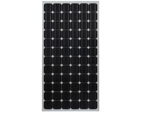 300W Monocrystalline Solar Module