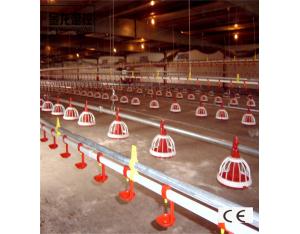 poultry  equipment feeding  system