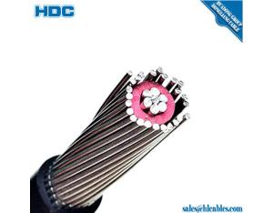 2*4AWG+4AWG,2*8AWG,2*10AWG, 8000 series aluminum alloy conductor armoured XLPE /PVC insulation conce