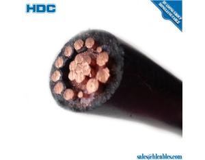 2*4AWG+4AWG,2*8AWG,2*10AWG, 8000 series aluminum alloy conductor armoured XLPE /PVC insulation conce