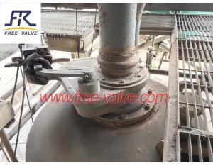 Pneumatic Swing Ceramic Feed Valve