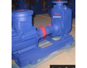  CYZ Self Priming Centrifugal Oil Pump