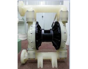 RW Air operated diaphragm pump