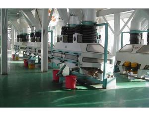 Oilseed Pressing Production Line
