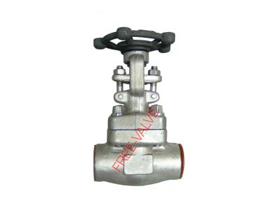 SW Ends Forged Steel Globe Valve