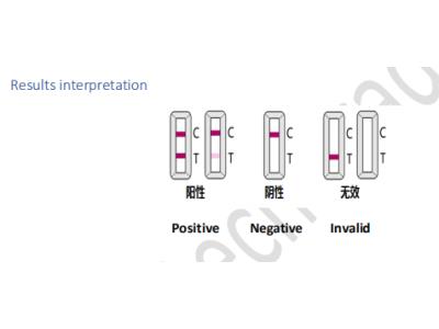 Diagnostic Kit for Detection of IgM Antibody to SARS-CoV- 2(Colloidal Gold)