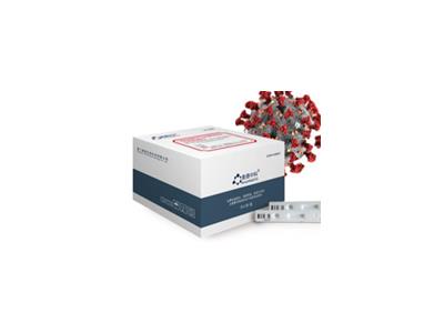 IgM/IgG Antibody Test Kit