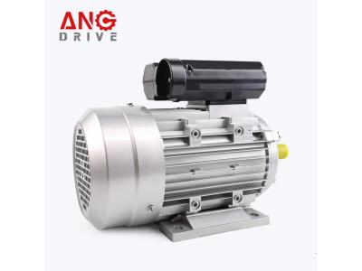 Asynchronous AC Electric Motor, Single Phase Electric Motor, Induction Electric Motor