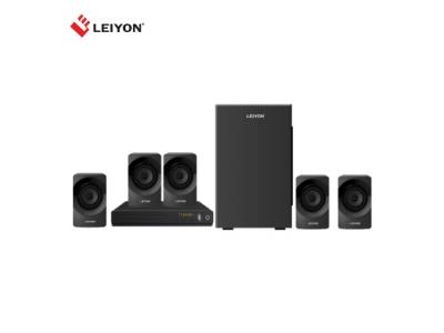High power 5.1 home theatre System