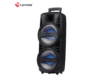 Portable High Quality Karaoke dual 8 inch Trolley Speaker 