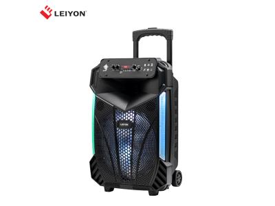 12inch Fashionable Waterproof Party Portable Rechargeable Blue tooth DJ Speaker Trolley