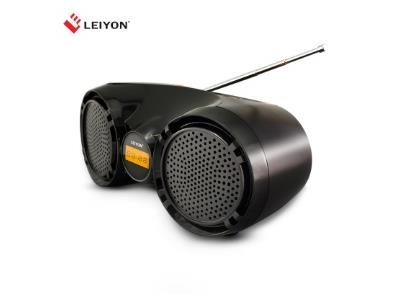 Bluetooth Boom Box : LY-BX11