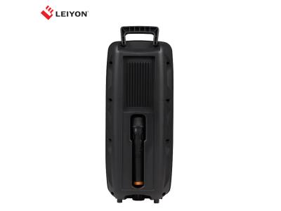 Dual 8 Inch Party Rechargeable Bluetooth DJ Speaker Trolley Speaker With MIC