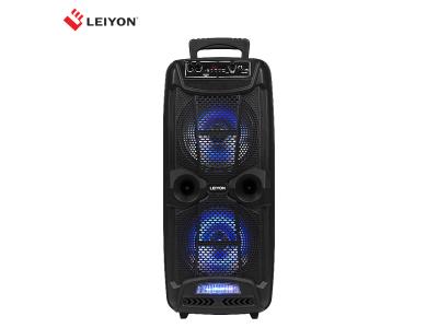 Dual 8 Inch Party Rechargeable Bluetooth DJ Speaker Trolley Speaker With MIC