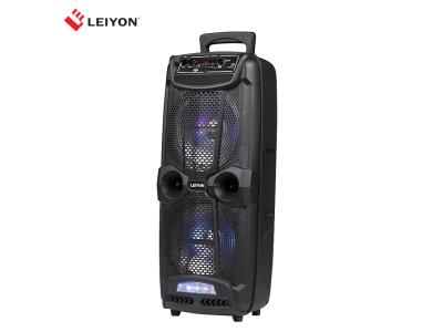 Dual 8 Inch Party Rechargeable Bluetooth DJ Speaker Trolley Speaker With MIC