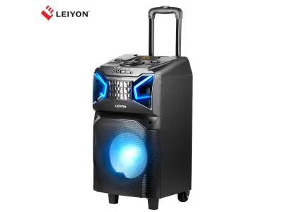 Portable Bluetooth Speaker, Rechargeable PA System with Wireless Microphone DJ Party Speak
