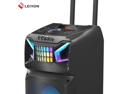 Portable Bluetooth Speaker, Rechargeable PA System with Wireless Microphone DJ Party Speak
