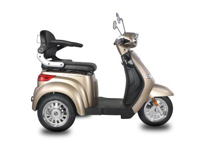 E-Cruise3 Zhongneng Moden electric tricycle