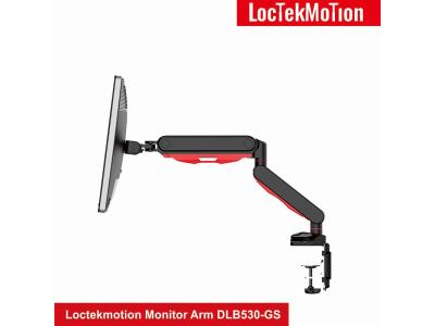 Loctekmotion Monitor Arm DLB530-GS