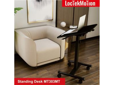 Standing Desk MT303MT