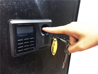 Safewell 30FPD Biometric Speed Frigerprint Safe For Office Home