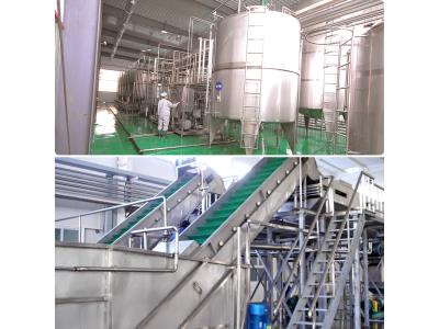 Apple & Pear Processing Line