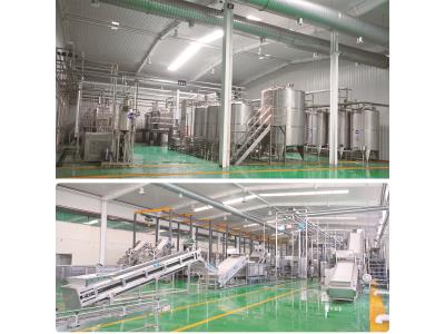 Apple & Pear Processing Line