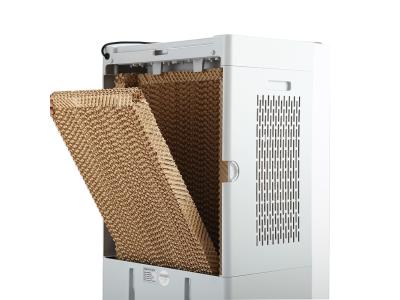 AIR COOLER WJD4500F-2Z