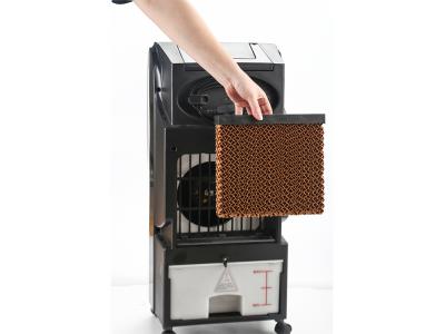 AIR COOLER and HEATER WJD20F-1R