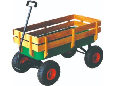 TC4201 kids wagon