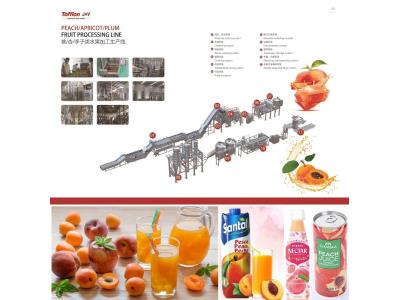 Peach / Apricot and Plum Processing Line 