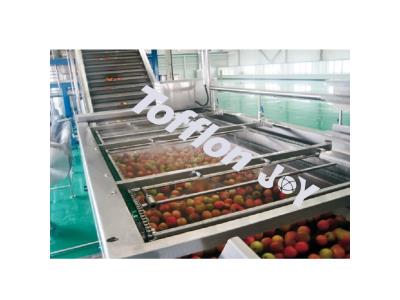 Peach / Apricot and Plum Processing Line 