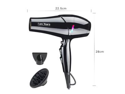 DC Hair Dryer with Nozzle