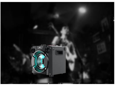 40W Party Speaker With EQ Adjustment/X-BASS/AUX IN/LED Display/Flashing Light/MIC 