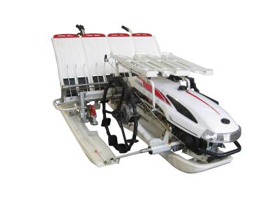 6 Rows Walking Rice Transplanter Machine