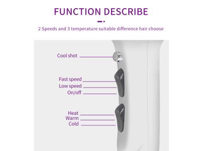 YOURS Pro Hair Dryer with Diffuser