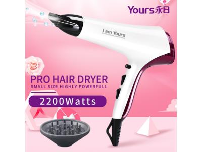 YOURS Pro Hair Dryer with Concentrators 