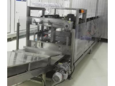 Chocolate Moulding Line 