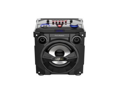 P4-Party Speaker