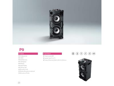 P9-Party Speaker