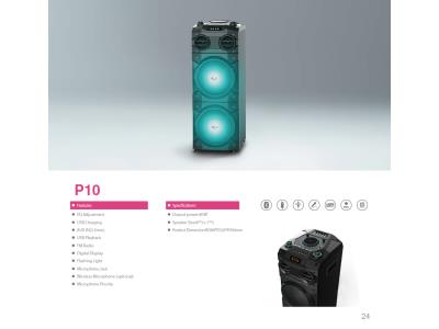 P10-Party Speaker