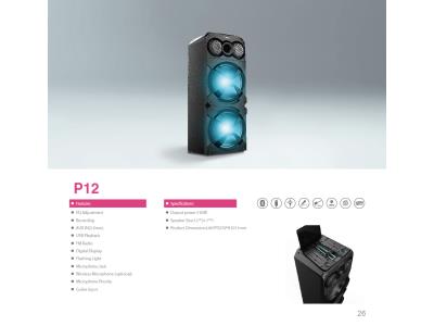 P12-Party Speaker