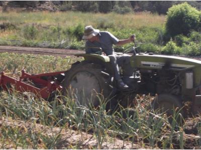 Agriculture 3 point linked potato harvest digger