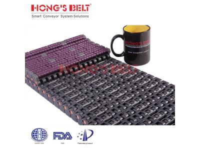 HONGSBELT HS-LBP1005  modular plastic conveyor belt for beverage packing line
