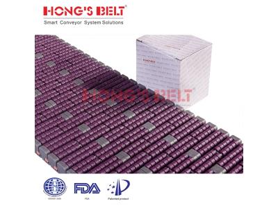 HONGSBELT HS-LBP1005  modular plastic conveyor belt for beverage packing line