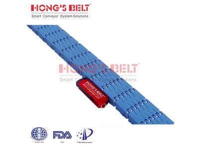 HONGSBELT HS-4800D-38mm modular plastic conveyor belt for XY conveyor systems